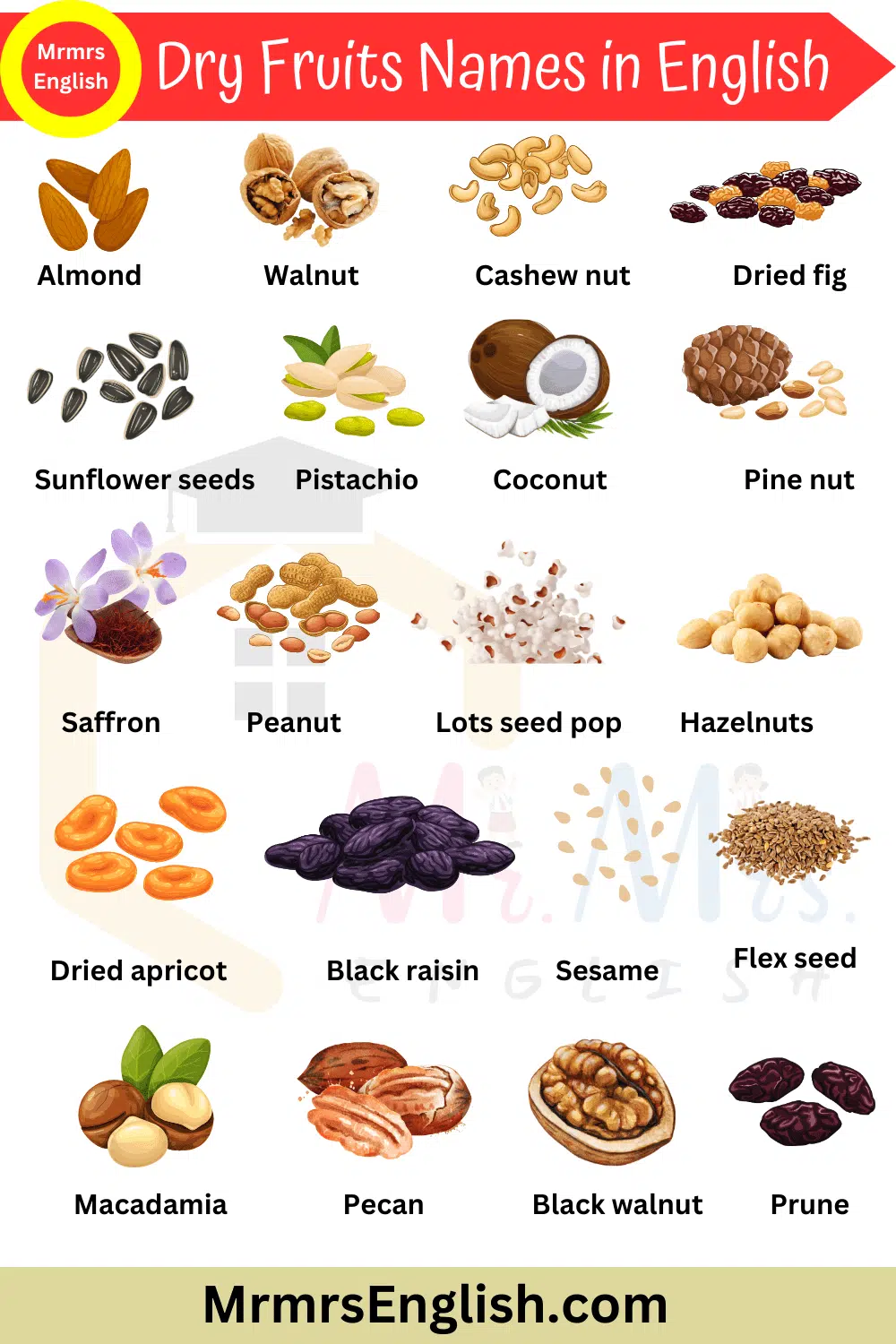 Dry Fruits Name in English 