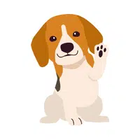 Name of Animals in English |Dog in English