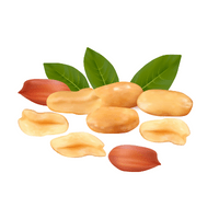 Dry Fruits Name | Peanut in English
