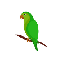 Pets Animal Name |Parrot in English