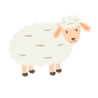 Name of Animals in English |Lamb in English
