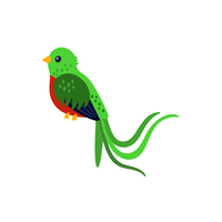 Quetzal in English 