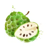 Jabuticaba in English