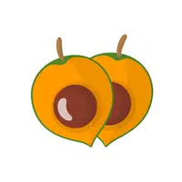 Mountain Soursop in English