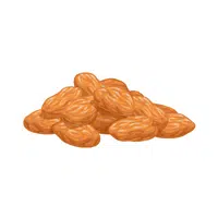 Dry Fruits Name | Raisin in English