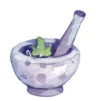 Pestle in English