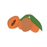 Sapote in English