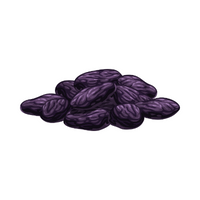 Dry Fruits Name | Black raisin in English