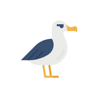 Birds Name in English | Albatross in English 