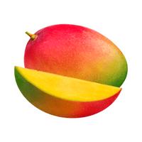 African Mango in English