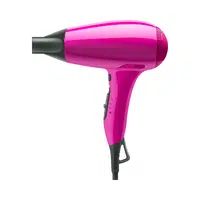 Hair dryer in English