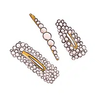 Hair clips in English