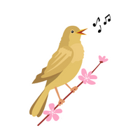 Birds Name in English | Nightingale in English 