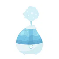 House items Vocabulary Words | Humidifier in English