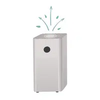 Air purifier in English