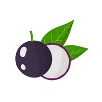 Jabuticaba in English