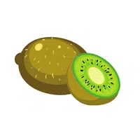 Nectarine in English