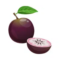 Star Apple in English