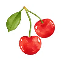 Fruits Vocabulary words | Rainier Cherry in English