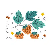 Fruits Vocabulary words | Tayberry in English