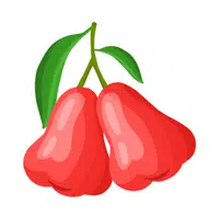 Fruits Vocabulary words | Rose Apple in English