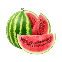 Fruits Vocabulary words | Watermelon in English