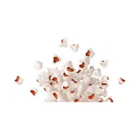 Dry Fruits Name | Lots seed pop in English