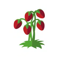 Fruits Vocabulary words | Youngberry in English