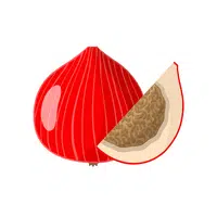 Fruits Vocabulary words | Quandong in English