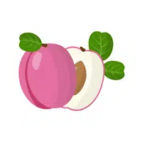 Fruits Vocabulary words | Cocoplum in English