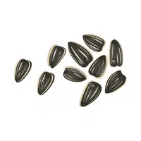 Dry Fruits Name | Sunflower seeds in English