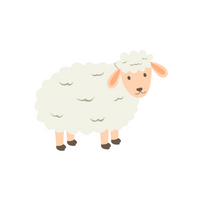 Pets Animal Name | Sheep in English
