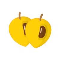 Fruits Vocabulary words | Canister in English