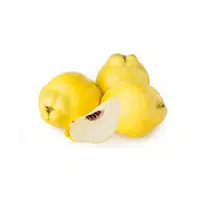 Fruits Vocabulary words | Canister Yellow Sapote in English