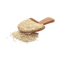 Dry Fruits Name | Sesame in English