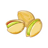 Barbados Cherry in English