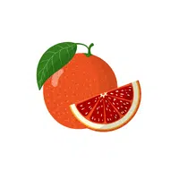 Blood Orange in English