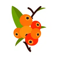 Camus Camus in English