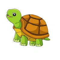 Name of Animals in English |Turtle in English
