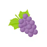 Fruits Vocabulary words | Sacaton Berry in English