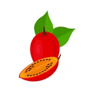 Fruits Vocabulary words | Tomatillo in English