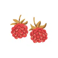 Fruits Vocabulary words | Thimbleberry in English