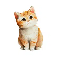 Name of Animals in English | Cat in English