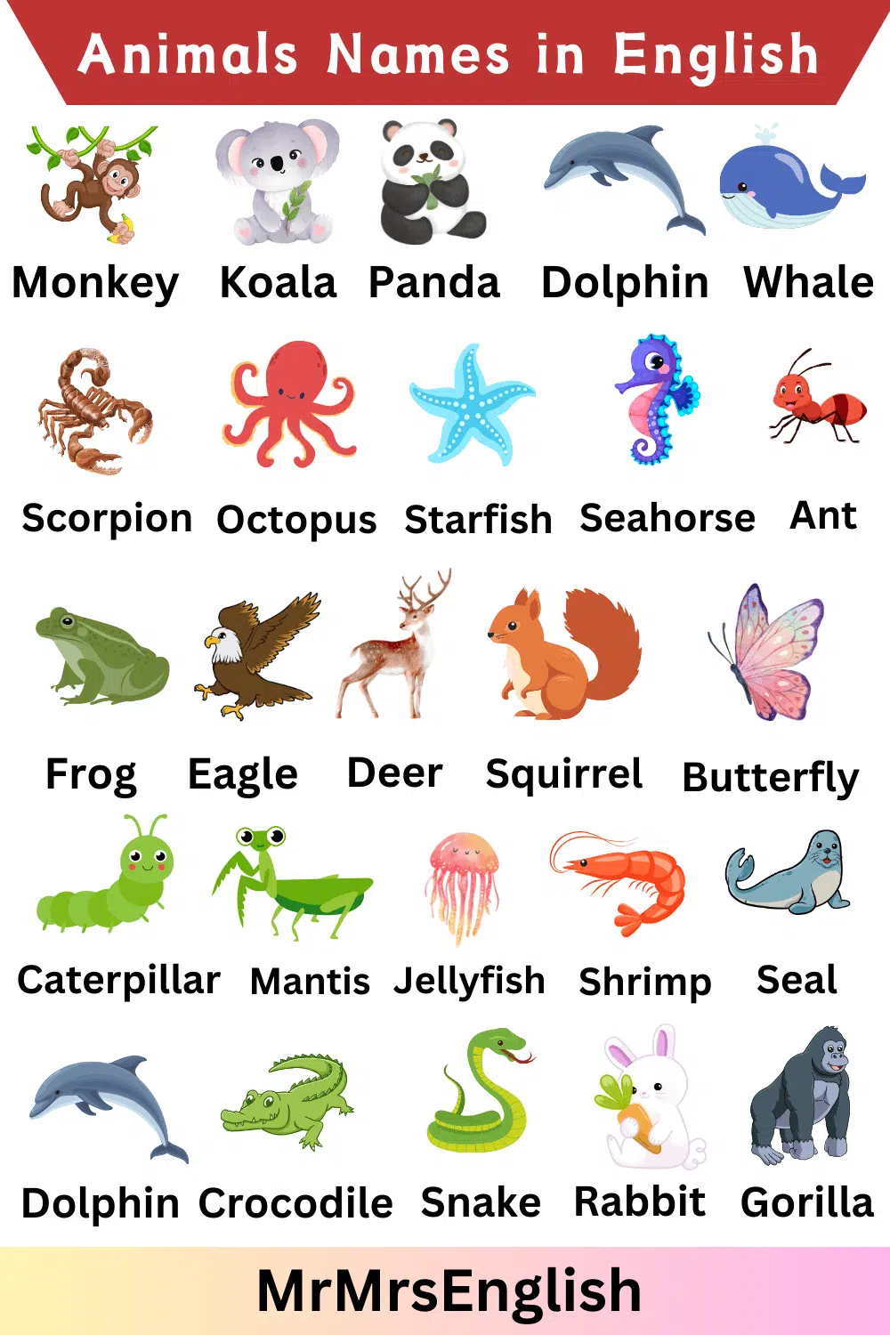 Name of Animals in English 