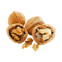 Dry Fruits Name | Walnut in English
