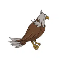 Birds Name in English | Eagle in English 