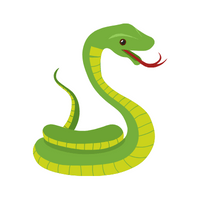 Name of Animals in English |Snake in English
