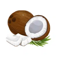 Fruits Vocabulary words | Coconut in English