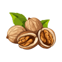 Dry Fruits Name | Black walnut in English