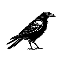 Birds Name in English | Raven in English 